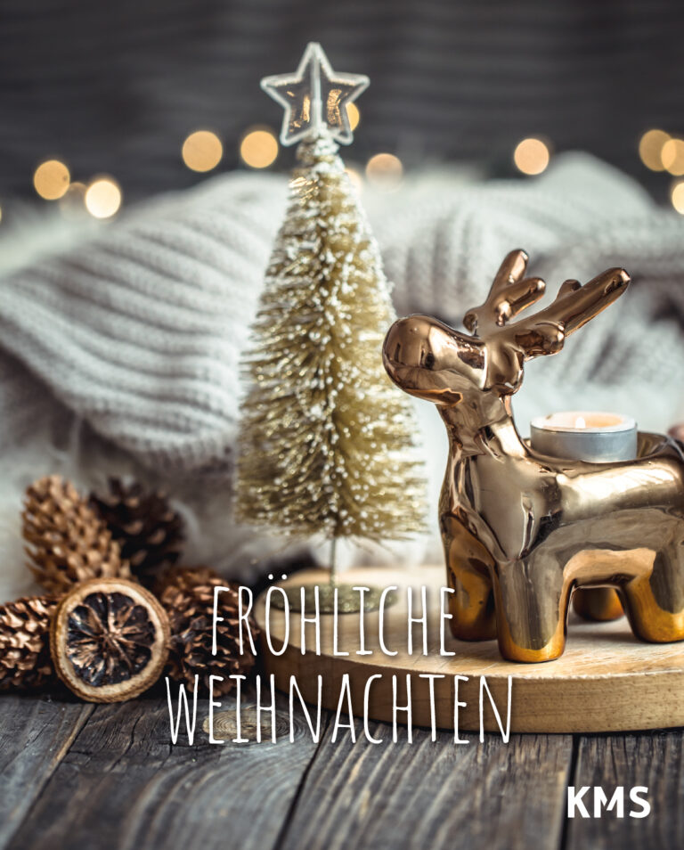 Weihnachtsdekoration mit fröhlichen Weihnachtsgrüßen